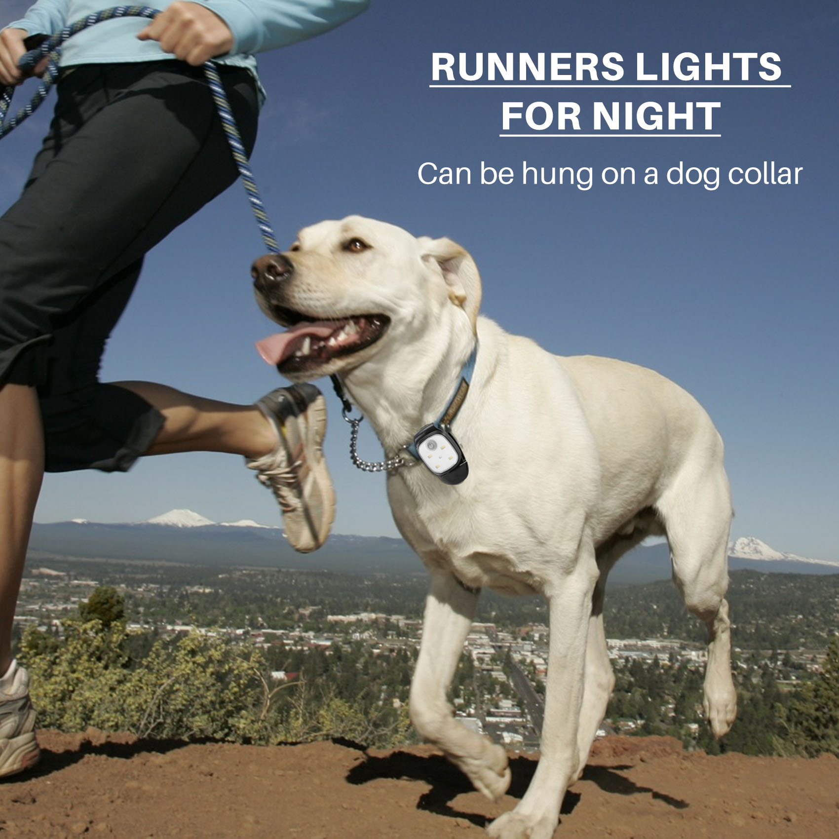 XSXS-buiten nachtclip op loopl - Running Gear Night recensie en prijs